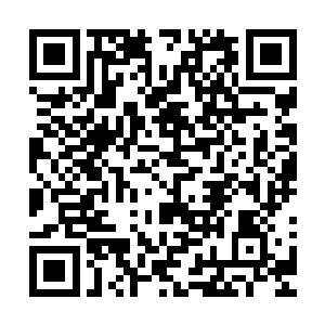 我们家的人都很有兴趣学习掌控这种操作简单的小型潜艇……二维码生成