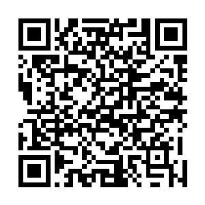我们家里从上到下没有一个人欠黑炎城和煤钢联合会什么二维码生成