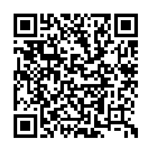 我们将依法拘传你到桐花镇派出所接受讯问取证二维码生成