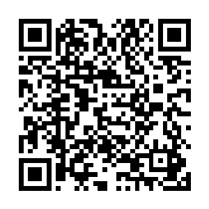我们将对各位新生的各项素质进行一个客观的综合评估二维码生成