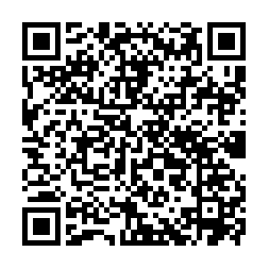 我们将通过一系列的数据以电视直播的方式公布本届世界杀手大赛绝命榜的成绩二维码生成