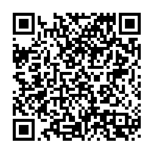 我们就不提净先生和觉哥在赌博层面上那完全无法对比的巨大差距了二维码生成