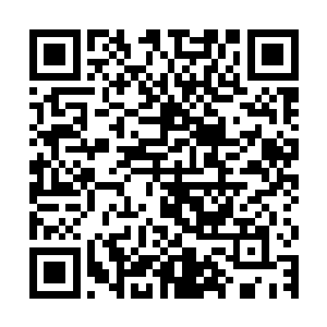 我们就已经在对亲心企业的产品配方和你们的血液进行分析检查二维码生成