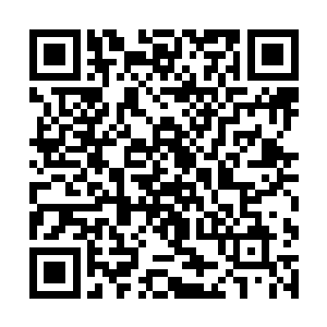 我们就是一个小公司和他们这种家族企业没办法相比二维码生成