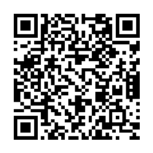 我们已经失去了探究那上面到底有什么的一切可能性和条件性二维码生成