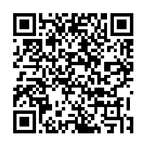 我们已经找到解决符异能草对符神和符魔神的危害的办法二维码生成