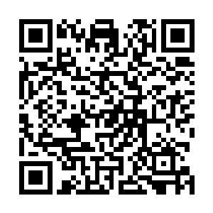 我们希望这是一次能够使世界长久和平的真正的和平会议二维码生成