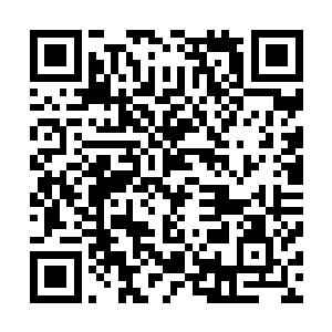 我们得让铁锤和他抵抗组织的人完全吸引敌军的注意力之后二维码生成