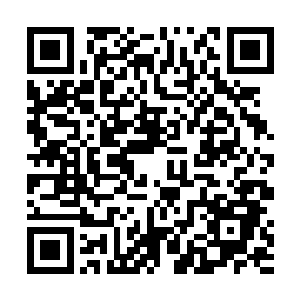 我们怀疑你在治疗玛瑞太太的时候使用了一些非法手段二维码生成