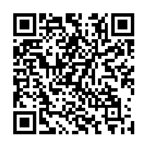 我们所处的宇宙内部就没有修士再能给我提供修炼上的建议二维码生成