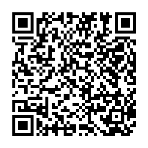 我们所处的现实位面正在和惊悚乐园的主宇宙相互融合所以就出现了时空错乱二维码生成