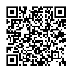 我们抓到的嫌犯的确指认他背后的主谋是阮思思二维码生成