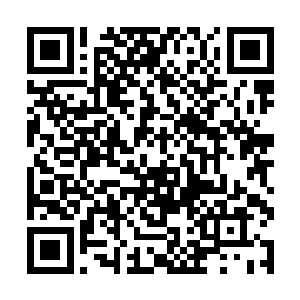 我们早该想到的……这游戏里并没有关于排泄的设定二维码生成