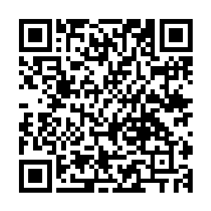 我们最终确定把这个种族叫做纳美人――她难道不是很可爱吗二维码生成