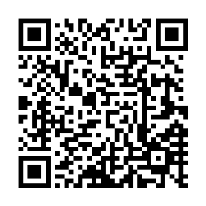 我们有让非神血的纯武力战士从一级升到十级的全部训练法二维码生成