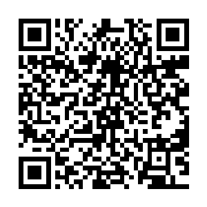 我们根本不知道需要用何种特殊手段才能打开这座宫殿的大门二维码生成