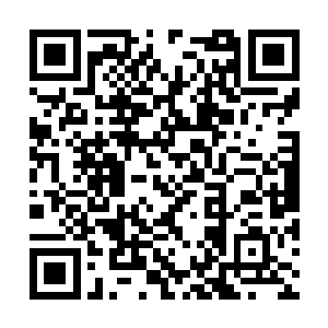 我们格森王国可是出现了一位前无古人的绝顶天才二维码生成