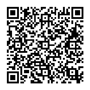 我们死灵一族的修炼速度将远超你们的想象……不过亲王殿下为何还这么犹豫不决呢二维码生成