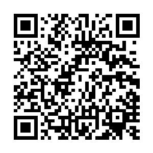 我们民盟军科学部门已经研制出了可以使用两千小时的灯泡二维码生成