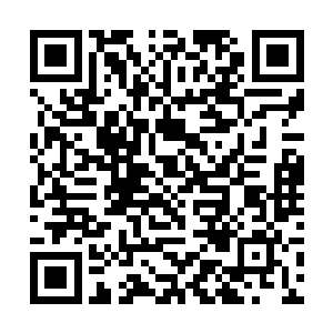 我们海族的小公主又怎么可以被你这样的人所吸引走二维码生成