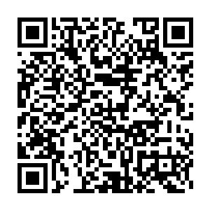 我们牺牲和失踪的雄狮要塞的二级驻守骑士的最终数据还没有统计出来二维码生成