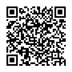 我们玄黄大陆五大门派在妖兽森林里发现了上古门派的遗址二维码生成