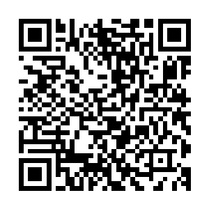 我们王都的修真坊市规模比起他们王都的修真坊市还小不少呢二维码生成