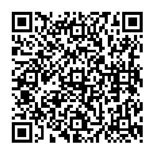 我们现在在锋线上真正的中锋只有一个皮萨罗了……结果我现在还要再找个中锋来替补……二维码生成