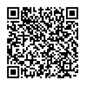 我们现在才只是北影成教学院的成教学生就已经能出演戏份不小的女配角二维码生成