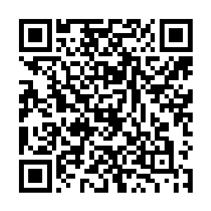 我们的任务基本是完成不了了……能活多久也是个问题二维码生成