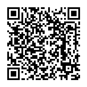 我们的先辈们早就将所有特效药和可以提炼药物的材料统统销毁了二维码生成