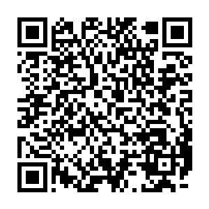 我们的公司――大梦现在还没到离开我的表演还能蒸蒸日上的程度――二维码生成