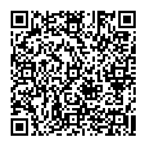 我们的摄像头设备已经足以支持将这个世界的色彩跟图案完整而真实的反馈给那些因为种种原因而失去光明的人二维码生成