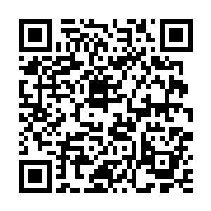 我们的条件绝对无法和这些大企业大公司开出的条件比二维码生成