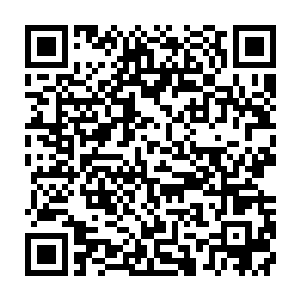 我们的欢喜哥在大森林里快乐的和白雪公主与七个小矮人过着幸福的日子――二维码生成