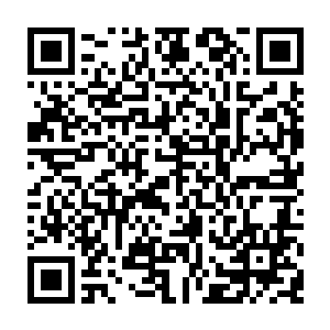 我们的环球旅行早就结束了欧洲部分了……既然秦家的人已经被你送走了二维码生成