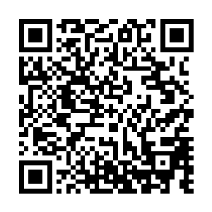 我们的行动力量恐怕都不够……而且宗翰跟希尹已经回来了二维码生成