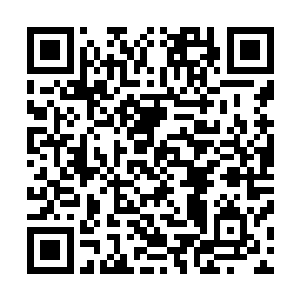 我们直接将其炼制成了不用认主就可以直接使用的宇宙至宝二维码生成