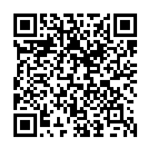 我们省委确立的黄金三角才能真正起到昌江经济发动机作用二维码生成