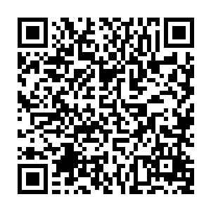 我们真的成功了我没想到这成功来得如此之快你之前跟我说过的几种盈利模式二维码生成