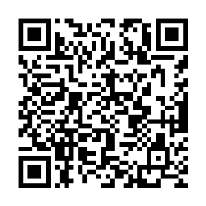 我们确实不是你的对手但我老徐搁几年前也只是个街头的老混混二维码生成