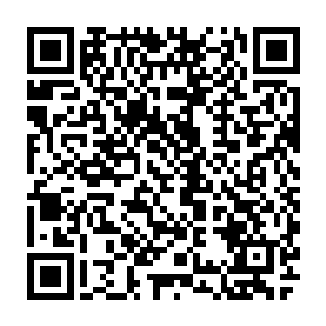 我们确实曾在一个山洞里挖到过一些奇怪的东西……看着很像是刻有图形的石碑二维码生成