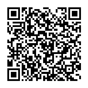 我们能够从历史中得到的教训就是我们没能从历史中得到任何教训二维码生成