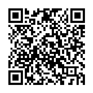 我们觉得只有这样才能真正赢得投资者的信任和认可二维码生成