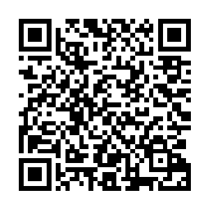 我们警方完全可以用林业局调查非法偷伐倒卖木材的名义二维码生成