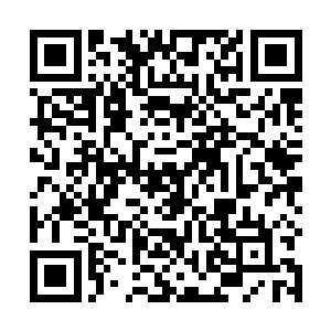 我们警方现在怀疑你和昨晚一宗杀人事件有密切的关系二维码生成