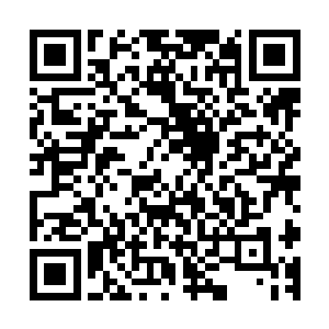 我们许家的圣祖和楚家的族长此时都在星海边缘的战争城堡内二维码生成