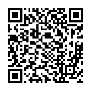 我们豁出一切守护的岚之意志怎么会遭受如此巨大的侮辱二维码生成