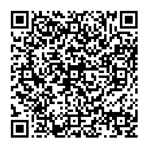 我们还会根据这个市场开业后对周边地区中药材种植的促进和推动情况作相当详细的一个调查二维码生成