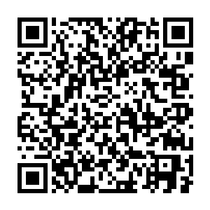 我们还在翻小学书本的时候他已经在看各种高难度的经济学书籍了二维码生成